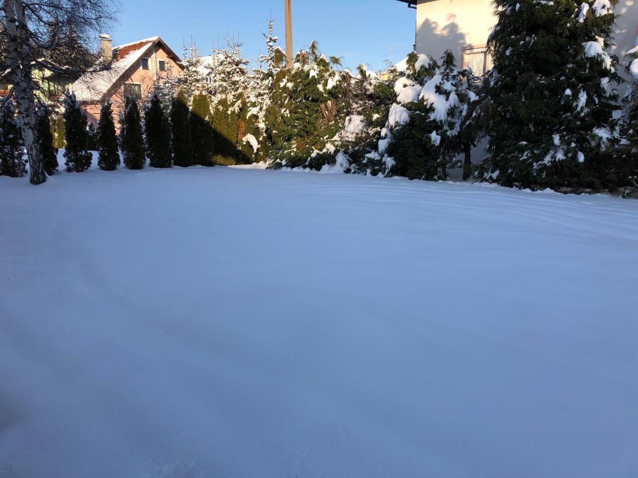 זלאטיבור Holiday Home Vila Tejic מראה חיצוני תמונה