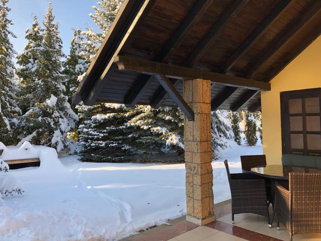 זלאטיבור Holiday Home Vila Tejic מראה חיצוני תמונה